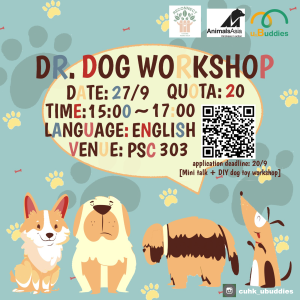 Dr Dog Workshop
