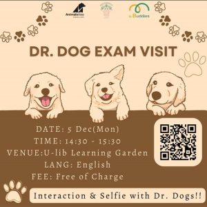 Dr. Dog考试探访