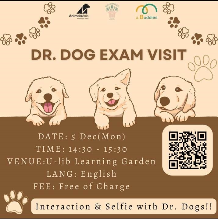 Dr. Dog考试探访