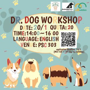 Dr. Dog Workshop