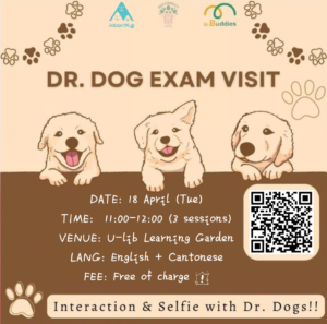 Dr. Dog Exam Visit (April 2023)