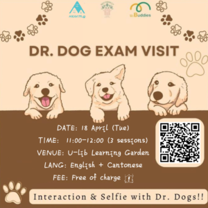 Dr. Dog Exam Visit (April 2023)