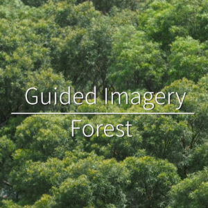 Guided Imagery - Forest